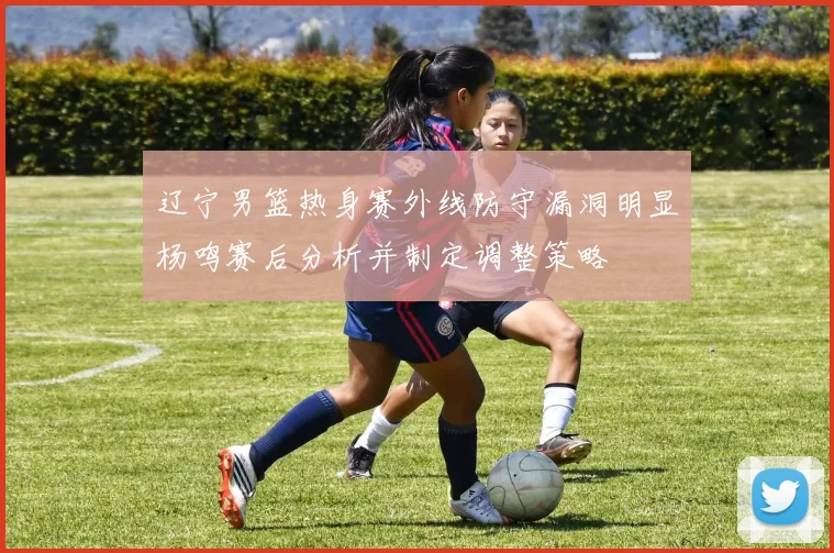 辽宁男篮热身赛外线防守漏洞明显杨鸣赛后分析并制定调整策略