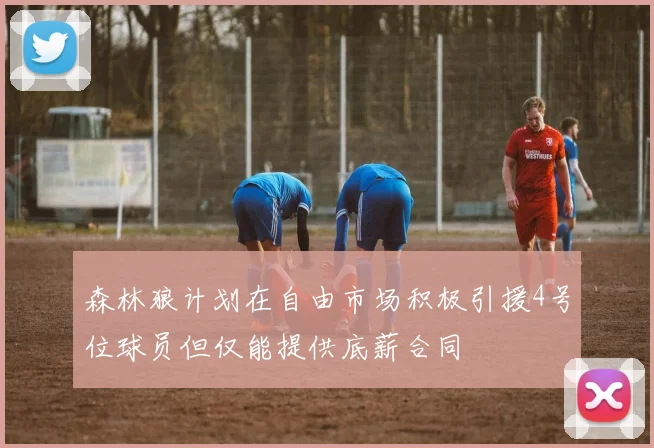 森林狼计划在自由市场积极引援4号位球员但仅能提供底薪合同